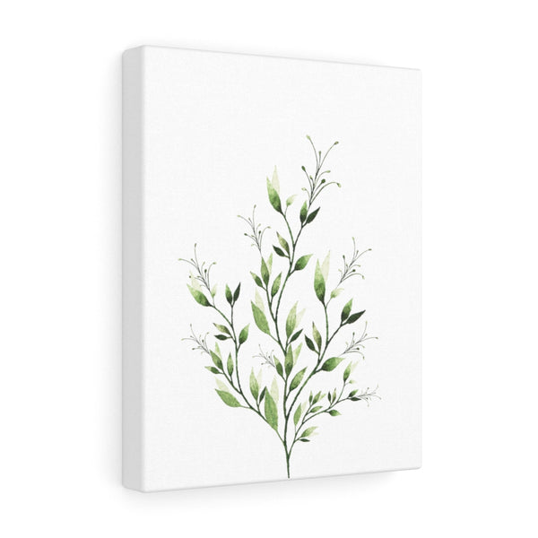 Aria Green Leaves Botanical Watercolor Stretched Canvas Plant Stretched Canvas